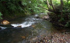 Corrada Torales